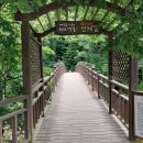 이모식당 이미지