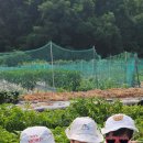 루소의 숲 어린이집 이미지