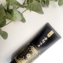 황제 공진보단 이미지