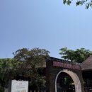 썬네일 | 푸꾸옥 픽업샌딩무료마사지 네일샵 유주스파 후기