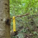 춘천새윤병원 이미지