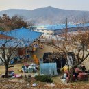 어래산 농장 Daum카페