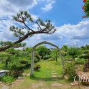 동리1호 이미지