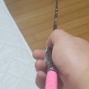 카보니아 | 오슬로 카보니아 골드비 후기(d1h둘다)