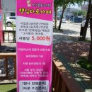 햇님타로카페 네이버블로그