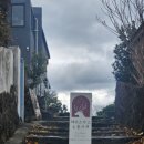 네이버로 예약한 제주도 동쪽 게스트하우스 [마음스테이] 3박 4일 후기 및 근처 상점 추천