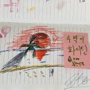 청수장여관 | 대구 동성로 갤러리카페 문화장
