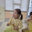 천전동2 Daum카페