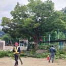 (학교)남강초 이미지