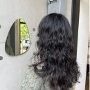 판교공원로 이미지