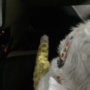 멍이 수라간 이미지