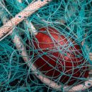 부용수지 이미지