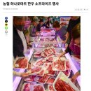 양지-2850 이미지