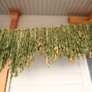 산내음민박 이미지