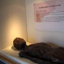 (주)미라건축 네이버블로그