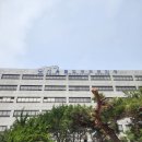 D-8 이미지