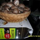 한솔영농