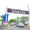 아모렉스 이미지