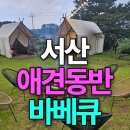 꾸유바베큐 | 서산 애견동반 식당 두유와 함께한 당일 캠핑 꾸유 바베큐 후기