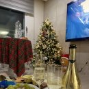 돋보이 개 이미지