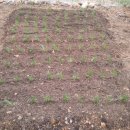 억수농장 이미지