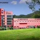 수정칼라 Daum카페