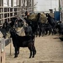 은인농장 이미지