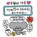 (주)명우기획 | 5월은 푸르구나 우리들은 자란다