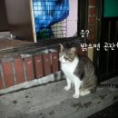 오늘떡볶이해