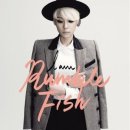 이오피쉬 이미지