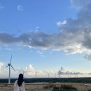 꽃보다이비인후과의원 이미지