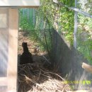 변산농장 이미지