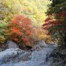 산중농원 이미지