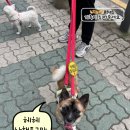 토리 - 사천시 토끼로 215 | 토리