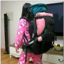 디자인비버
