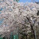 일신자동차 이미지