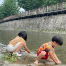 한가람유치원 | 아이랑 여름방학 보내는 방법, 즐거운 여름 외부활동