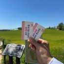 정화농장 | 고창 학원농장 다녀온 후기💛💚