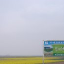 주산식품