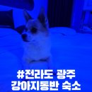 무진대로232번길 이미지