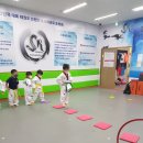 호평송라태권도장 이미지