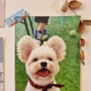 코코다방 이미지