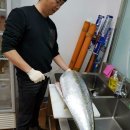 2018년 세낚동 13~15회출조 군산포세이돈, 오천 비바호 우럭출조