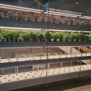 보석팜 | 진천 뤁스퀘어: 미래 농촌을 걷다! 스마트팜X전시X감성 카페까지, 복합문화공간 꿀팁 대방출!