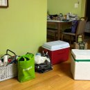 사지목 나무그늘 이미지