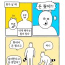 백마편의점 | 2025 트랜스제주 백마일 (150k) 완주 후기 (2) 나는 왜 백마일을 뛰었는가