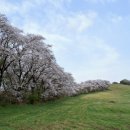 놀부목장 이미지