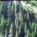 모란농장 이미지