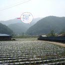 오천공인중개사사무소 이미지