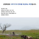 선양목장 이미지